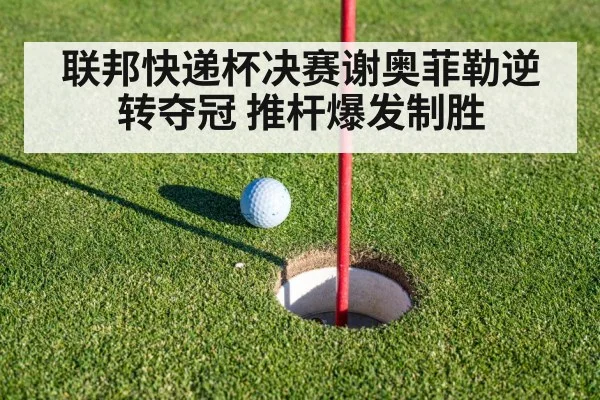 联邦快递杯决赛谢奥菲勒逆转夺冠 推杆爆发制胜