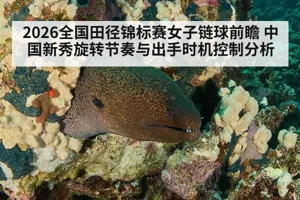 2026全国田径锦标赛女子链球前瞻 中国新秀旋转节奏与出手时机控制分析