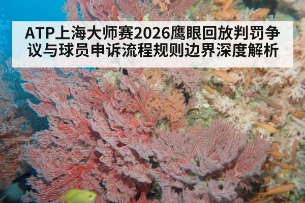ATP上海大师赛2026鹰眼回放判罚争议与球员申诉流程规则边界深度解析